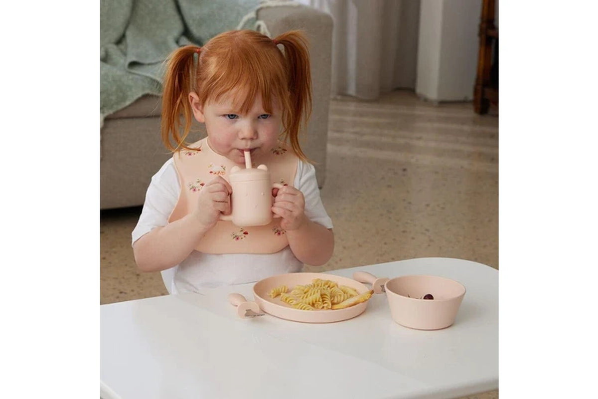 Silicone Bib Baby/Toddler Dinnerware Peach (2 pack)