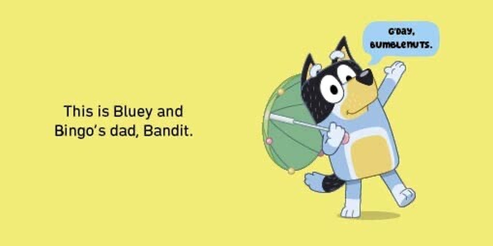 Bluey: Little Library: Four Books in One | Board Book | FREE SHIPPING NEW AU