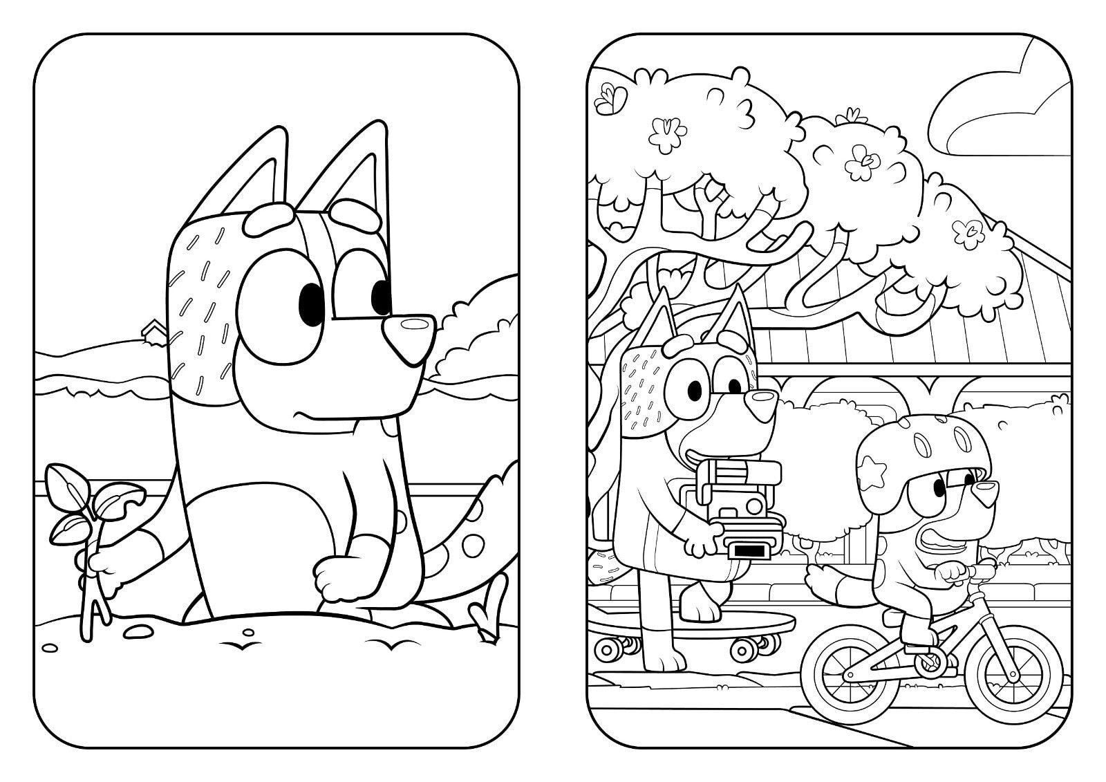 BRAND NEW Bluey: Big Backyard: a Colouring Book - Paperback Book - FREE SHIPPING